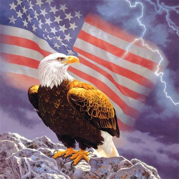 Lightning American Eagle