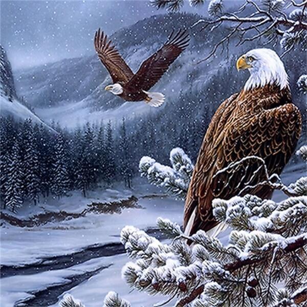 Bald Winter Eagle