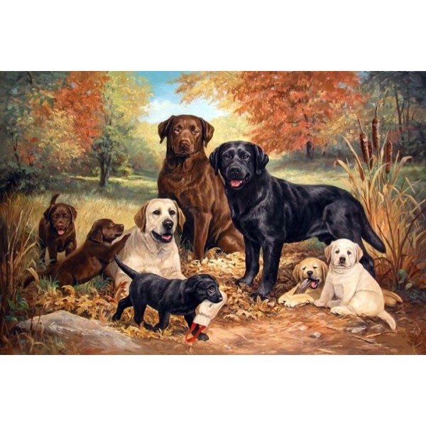 A Family Of Labrador Dogs