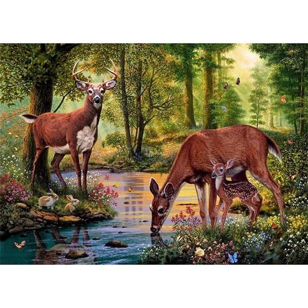 Deers In Forest