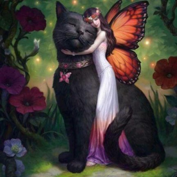 Black Cat Butterfly Fairy