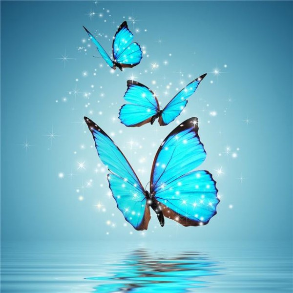 Sparkled Blue Butterfly