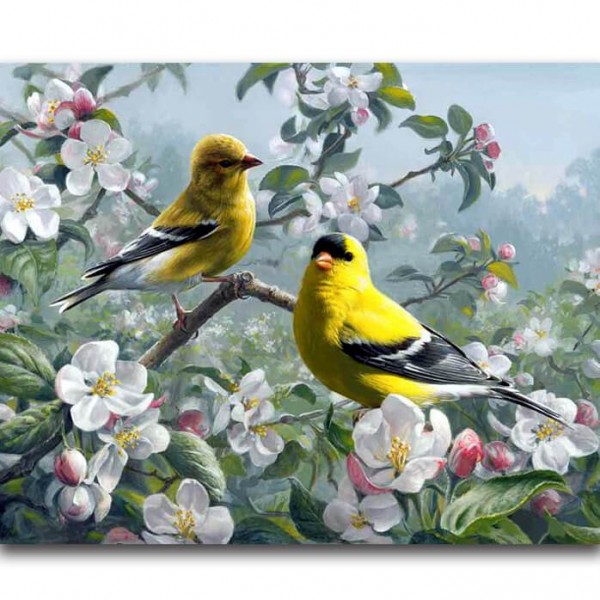 Bird Coasters