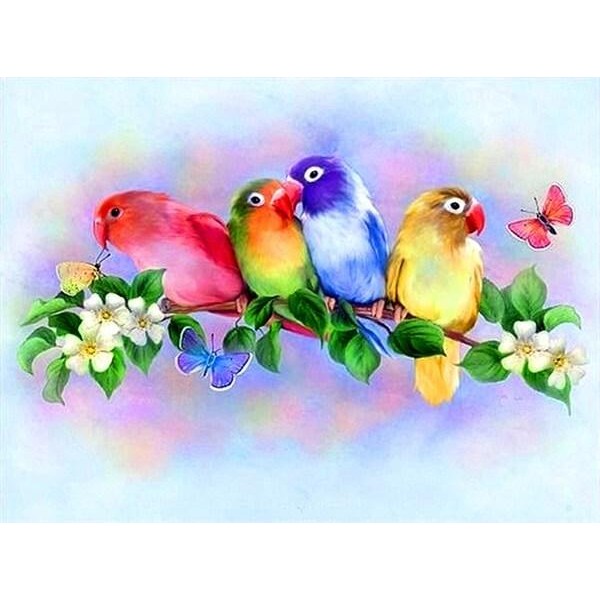 Colorful And Lovely Birds