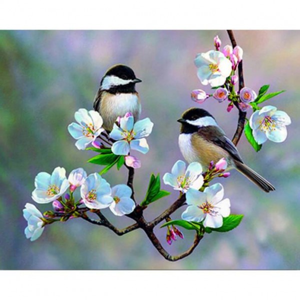 Cherry Blossoms Birds