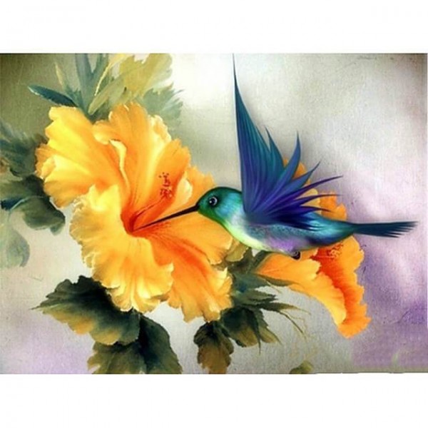Flower Hummingbird Bird