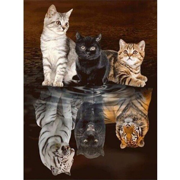 Cat Tigers